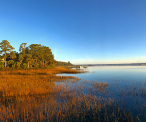 Lowcountry scene 