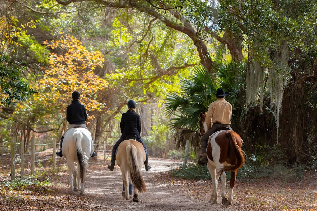 Explore on Horseback at Camelot Farms Equestrian Center. callout