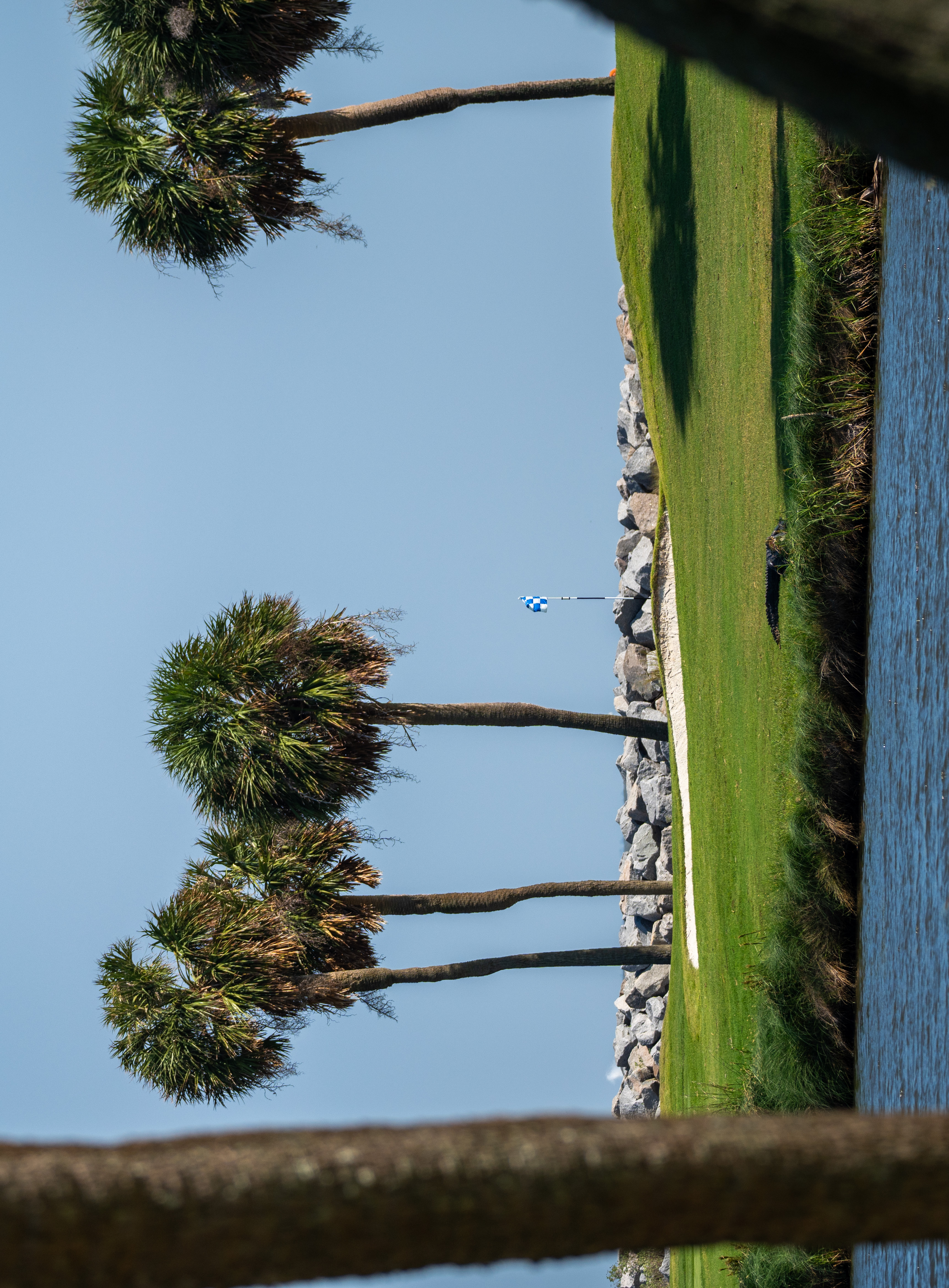 New Online Golf Pro Shop: Shop Our Selection callout